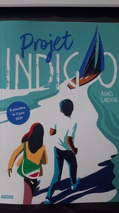Projet Indigo